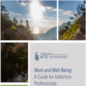 cover image of Danya Institute work and well-being